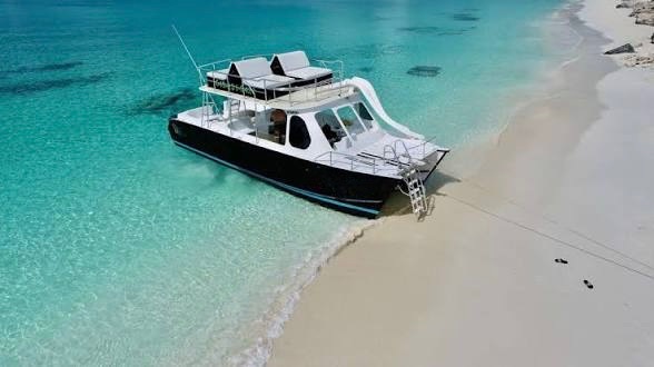 Power catamaran with a slide beached on white sand